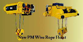 black_bear_pm_wire_rope_hoist.jpg